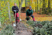 Forst-Mitarbeiter Steve Meißner und René Fischer kümmern sich um die fachgerechte Zwischenlagerung der bereits angelieferten Weißtannen.